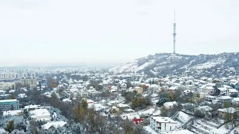 Полицейлер алматылық көлік жүргізушілеріне ескерту жасады