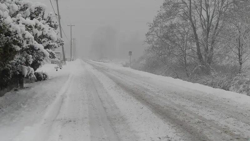 Еліміздің бірнеше өңірінде жолдар жабылып, жолаушылар құтқарылды