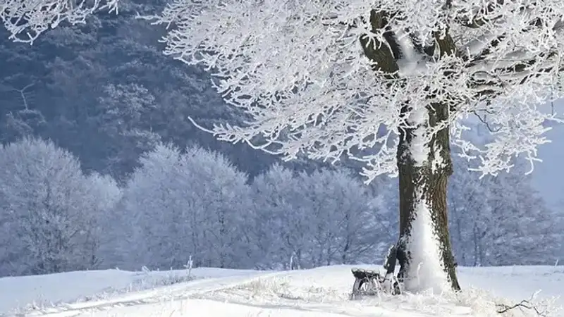 Ауа райы болжамы, 15 желтоқсан, Қазақстан