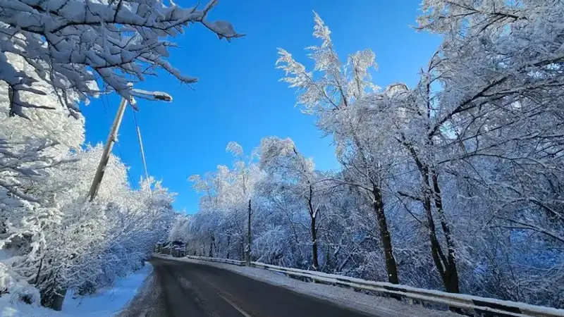 Ауа райы болжамы, Алматы, желтоқсан айы, сурет - Zakon.kz жаңалық 15.12.2023 18:50