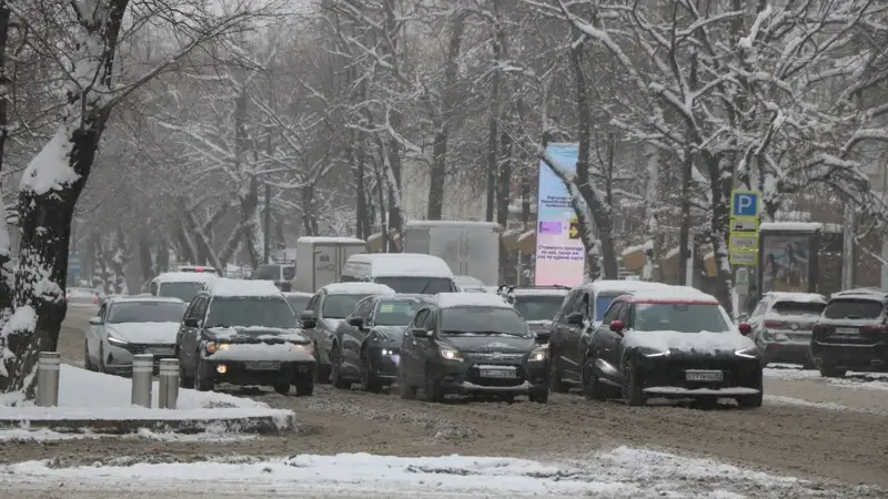 Шетелдік автокөлікті Қазақстанға әкелу кезінде электронды төлқұжат жүйесінен ақпарат қажет емес, сурет - Zakon.kz жаңалық 19.12.2023 12:49