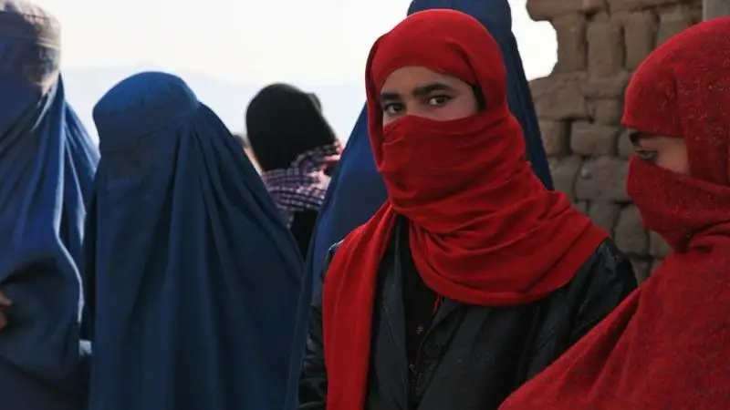 Талибандар қыз-келіншектерге университетке баруға тыйым салды, сурет - Zakon.kz жаңалық 21.12.2022 09:15