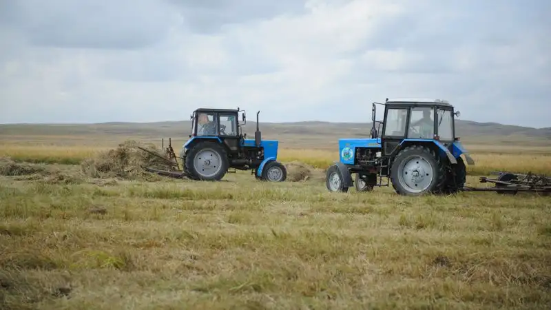 "Ауыл" партиясы, ауыл шаруашылығы өндірушілері, салық, Мәжіліс депутатын сайлау, сурет - Zakon.kz жаңалық 10.03.2023 22:00