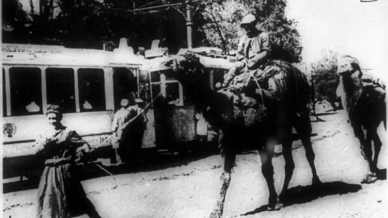 Фото 13-а верблюды соревнуются с трамваем в Алма-Ате, 1937 г., сурет - Zakon.kz жаңалық 23.05.2023 18:00