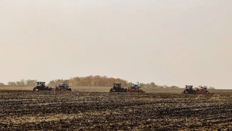 Жаңа Зеландияда тракторшылар қалаға кірді, сурет - Zakon.kz жаңалық 20.10.2022 14:34