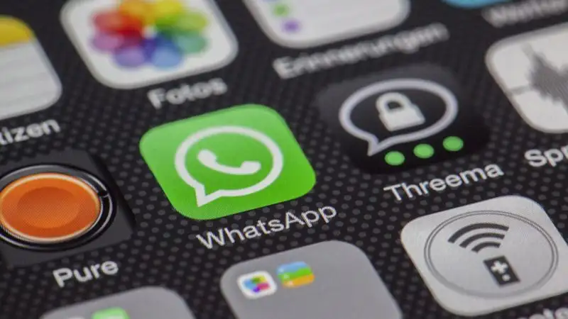 Бағдат Мусин WhatsApp-тағы іркіліске қатысты пікір білдірді