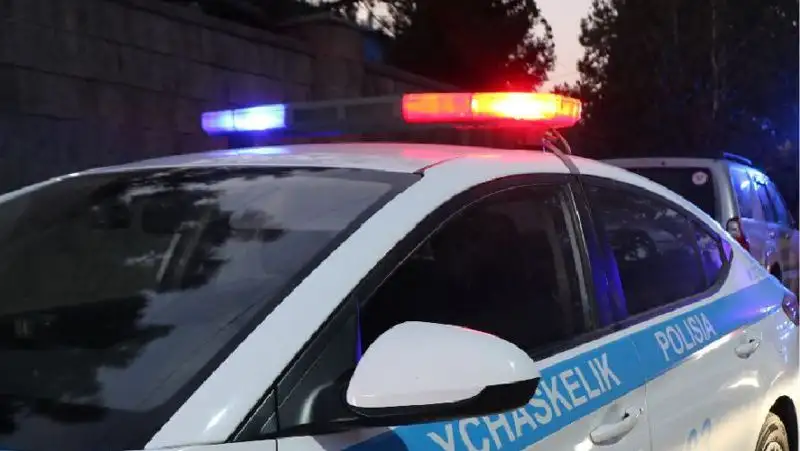 Алматы, полицей, көлік апаты