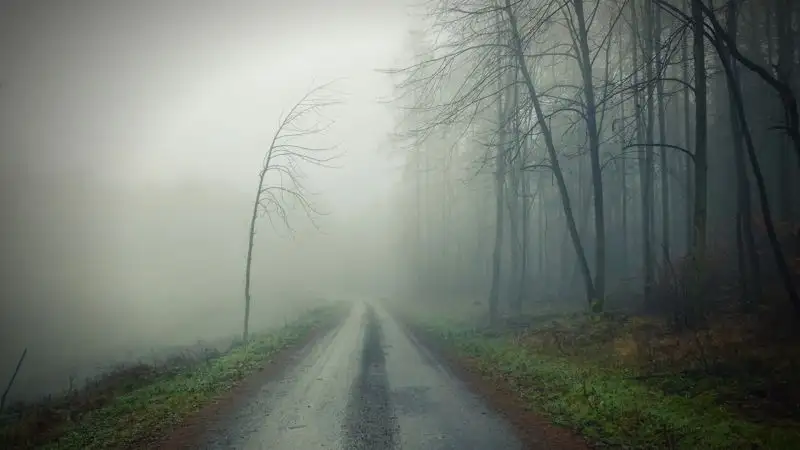 Қазақстан, ауа райы болжамы, жаңбыр, тұман, екпінді жел, көктайғақ