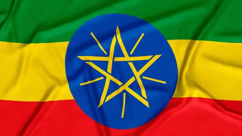 БРИКС, БРИКС саммиті, Эфиопия