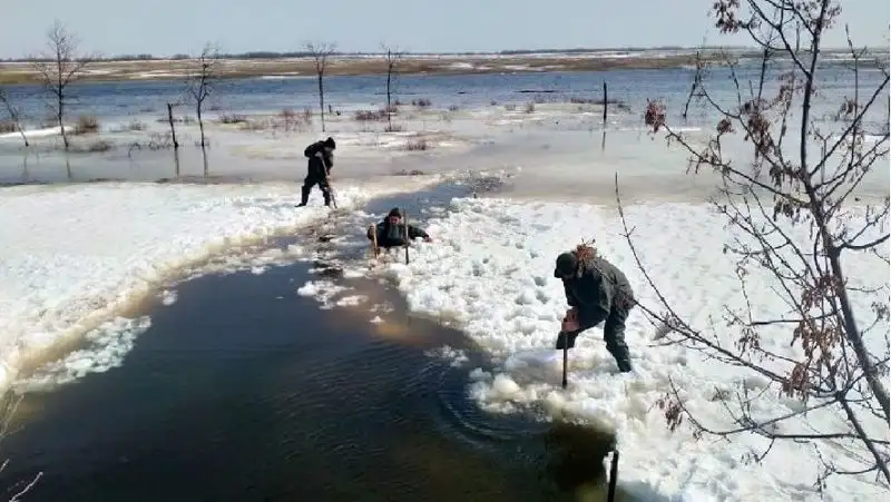 адамдарды құтқарып алды, сурет - Zakon.kz жаңалық 05.04.2022 11:13