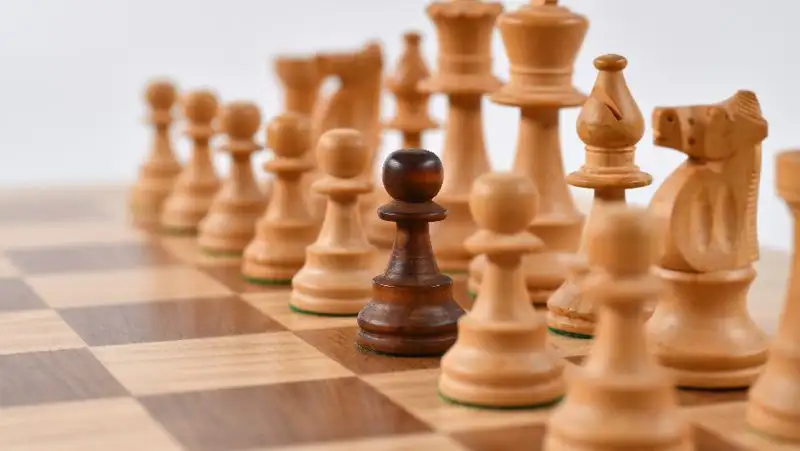 шахмат, сурет - Zakon.kz жаңалық 08.08.2022 10:49