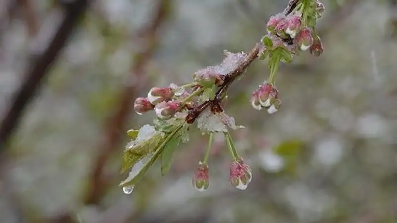 Қолайсыз ауа райы, сурет - Zakon.kz жаңалық 21.04.2023 19:54