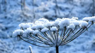 +17°C жылы, тұман және көктайғақ: Астана, Алматы және Шымкенттің ауа райы болжамы