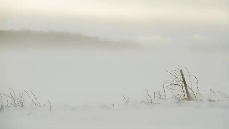 Ақмола облысындағы жолдардың бес учаскесі жабылды