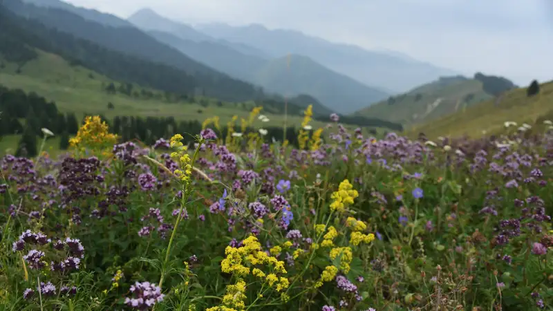 Дүниежүзілік көшпенділер ойындары британиялық саяхат журналының рейтингінде