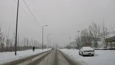 Алматы-Ташкент-Термез тас жолында көлік қозғалысына шектеу қойылды
