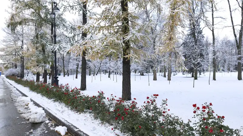 Аяз -17 градусқа дейін төмендейді: Астана, Алматы және Шымкентке арналған ауа райы болжамы