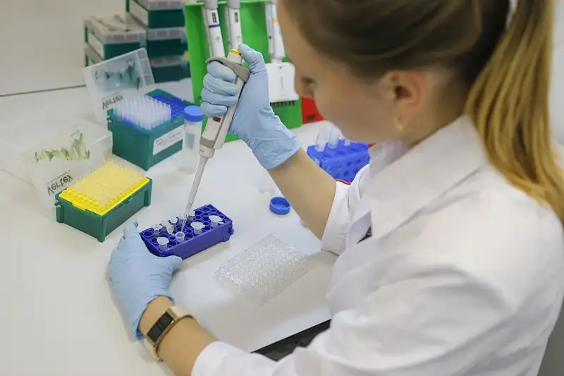 Отандық ғалымдар африкалық сап кеселіне қарсы вакцина ойлап тапты