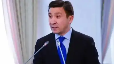 Ерлан Қожағапанов, бұрынғы мәдениет және спорт вице-министрі 