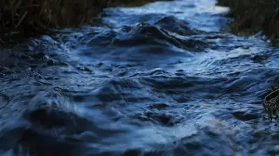 Алматы ТЖД өзендердегі су деңгейінің салдарынан су басу қаупі туралы мәлімдеме жасады