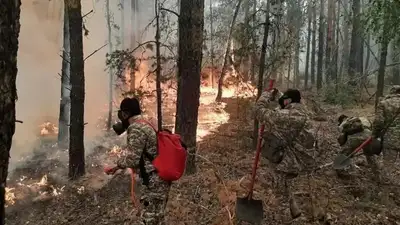 Жаз ыстық болады: Төтенше жағдайлар министрлігі дала өртінің жоғары қаупі туралы хабарлады