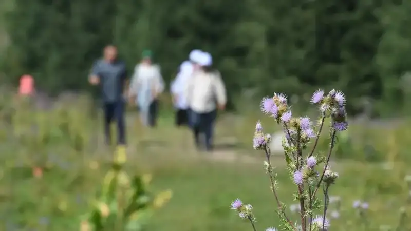 Қазақстан туризмнің әлемдік рейтингінде 14 орынға көтерілді