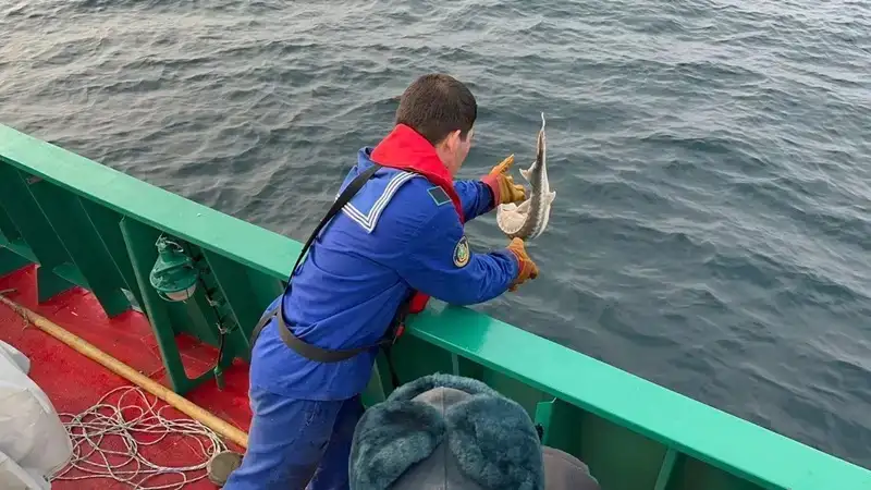 Каспий теңізіне жүргізілген рейд кезінде браконьерлерге 7,3 млн теңге айыппұл салынды