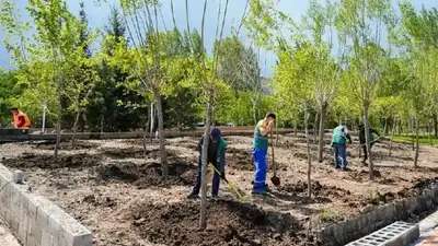 Астананы абаттандыру бойынша алдағы кезең жоспары белгілі болды, сурет - Zakon.kz жаңалық 12.06.2024 11:32