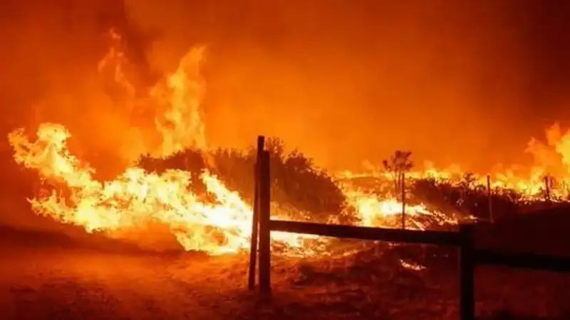 Калифорнияда алапат орман өртінің жылдам таралуына байланысты адамдарды эвакуациялау басталды