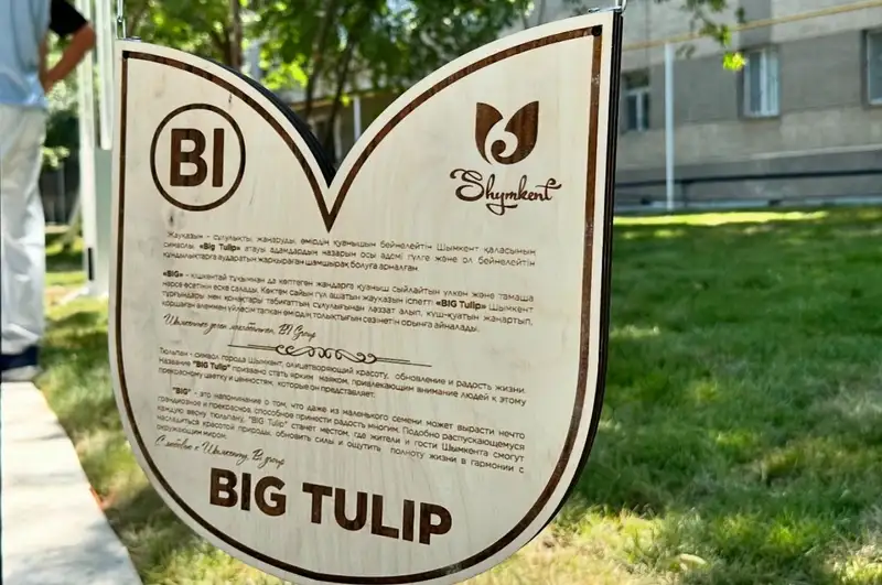 Big Tulip, қызғалдақ, Шымкент, Еңбекші ауданы, гүлзар, сурет - Zakon.kz жаңалық 18.06.2024 19:53