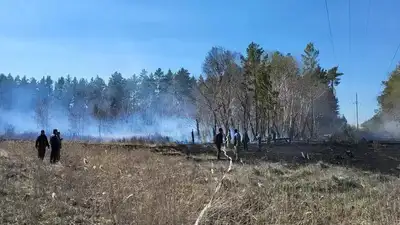 &quot;Семей-Орманы&quot; кезіндегі өрттен қаза тапқан орманшының отбасына әлі күнге жәрдемақы тағайындалмаған