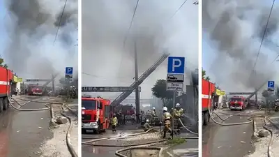 Шымкенттегі алапат өртті сөндіруге 140 құтқарушы жұмылдырылды, сурет - Zakon.kz жаңалық 09.08.2024 16:13