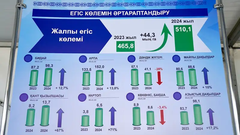 Егістік, Жетісу облысы, Олжас Бектенов, сурет - Zakon.kz жаңалық 19.08.2024 19:58