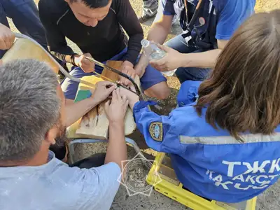 Батыс Қазақстан облысында әкесі мен қызы құтқарушылардың көмегіне жүгінді