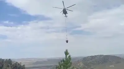 Шығыс Қазақстан облысында орманда шыққан өртті тікұшақпен сөндірді