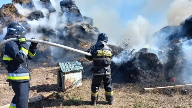 Бір тәулік ішінде Қазақстанның төрт облысында шөптің жану фактісі тіркелген , сурет - Zakon.kz жаңалық 18.09.2024 10:53