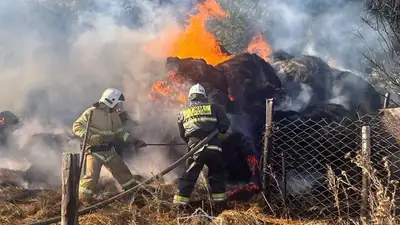 Бір тәулік ішінде Қазақстанның төрт облысында шөптің жану фактісі тіркелген 