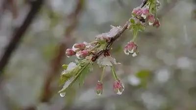 Ауа райы болжамы, 19 қыркүйек, Қазақстан, үсік жүреді