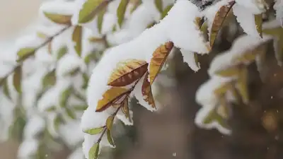 ауа райы