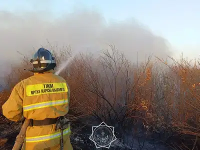 Жаңбыр, жел және өрт қаупі: Қазақстанның бірнеше өңірінде дауылды ескерту жарияланды, сурет - Zakon.kz жаңалық 08.10.2024 21:12