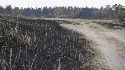 Қарағанды ​​облысында ірі өрт: прокуратура мәлімдеме жасады, сурет - Zakon.kz жаңалық 08.10.2024 15:11