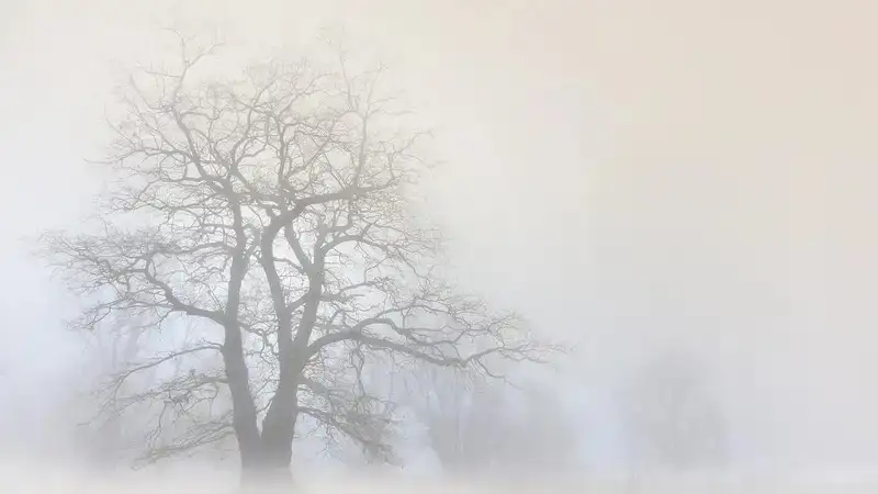 "Тұман, көктайғақ, қатты жел". Еліміздің 12 өңірінде дауылды ескерту жарияланды