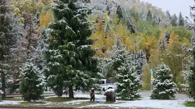 Жаңбырдан боранға дейін: Қазақстанның қай өңірлерінде дауылды ескерту жарияланды