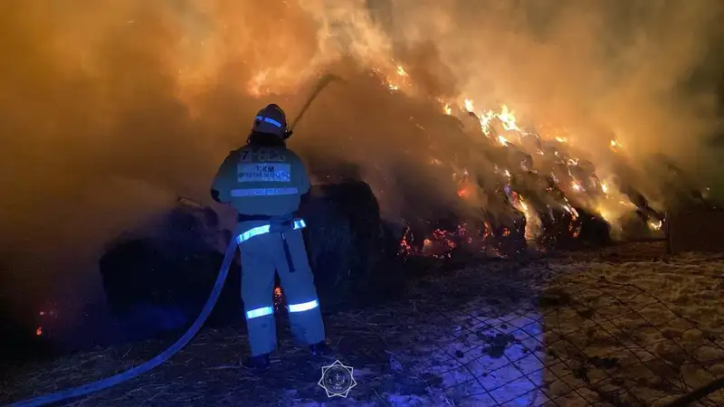 Алматы облысының құтқарушылары таң сәріде жанып жатқан өртті сөндірді , сурет - Zakon.kz жаңалық 27.11.2024 10:15