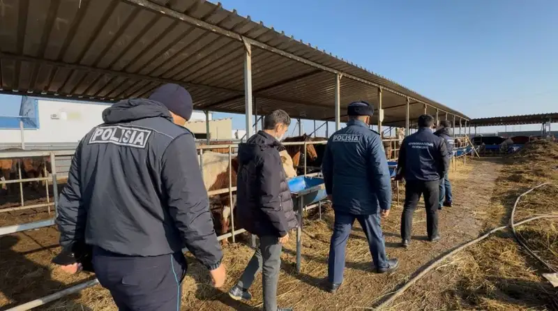 Атырау облысында мал мен ет өнімдерін заңсыз тасымалдағандарға 1 млн теңгеге жуық айыппұл салынды