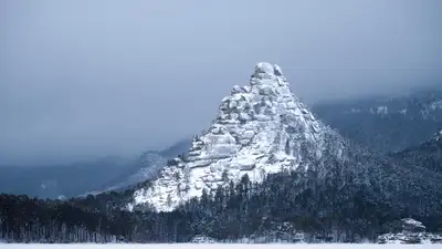 Бурабай ұлттық паркі, орман, ағаштар