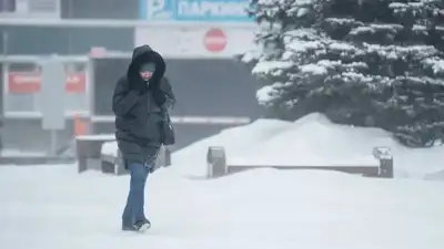 Ауа райы болжамы, Қазақстан, 14 желтоқсан, дауылды ескерту, сурет - Zakon.kz жаңалық 13.12.2024 21:46