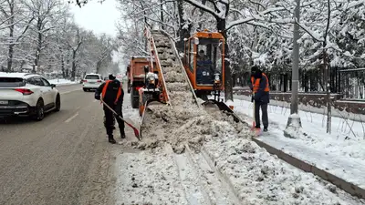 Тәулігіне 22 см қар: Алматы коммуналдық қызметтері үлкен қардың салдарын жоюда, сурет - Zakon.kz жаңалық 17.12.2024 09:56