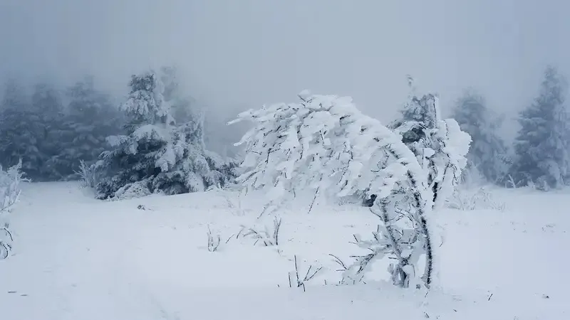 "Қар жауып, күн аяздап, көктайғақ болады". Еліміздің 16 өңірінде дауылды ескерту жарияланды