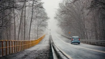 Астанада, Шымкентте және елдің 15 өңірінде қолайсыз ауа райына байланысты ескерту жасалды, сурет - Zakon.kz жаңалық 29.12.2024 17:56